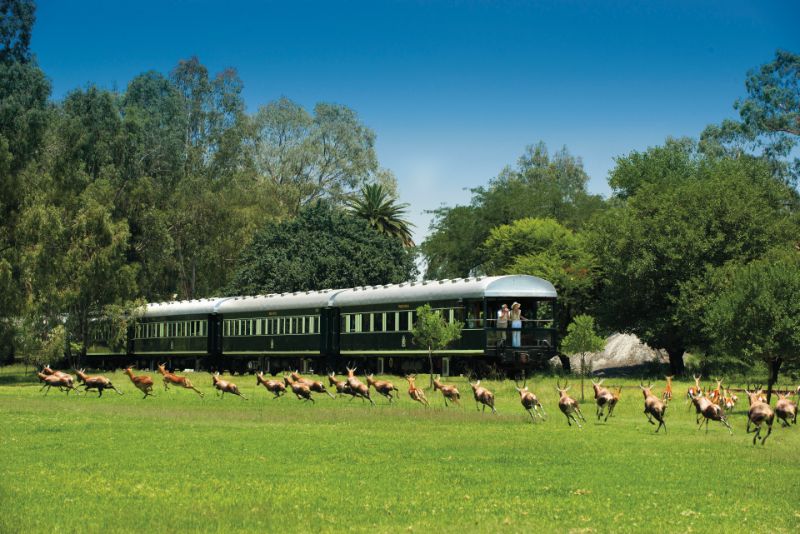 Exclusive And Opulent Train Journeys All Around The Globe train journey Luxurious Train Journeys That Belong In Your Bucket List Rovos